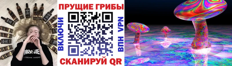 даркнет сайт  Дрезна  Галлюциногенные грибы Psilocybe 